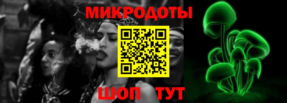 Псилоцибиновые грибы Psilocybe Электросталь